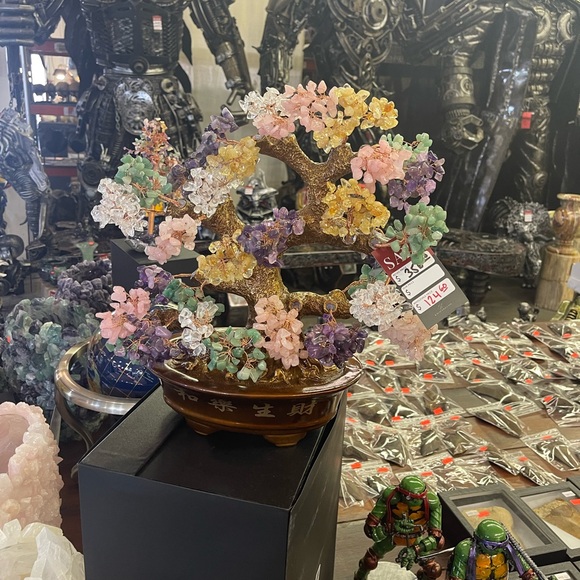 Meet your Posher, Darlene - Picture 3 of 3